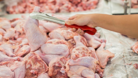 Минсельхоз предложил снять пошлины на импорт курятины за конкретный объём